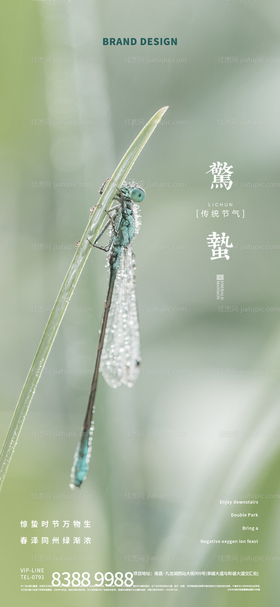 惊蛰节气微信海报-源文件