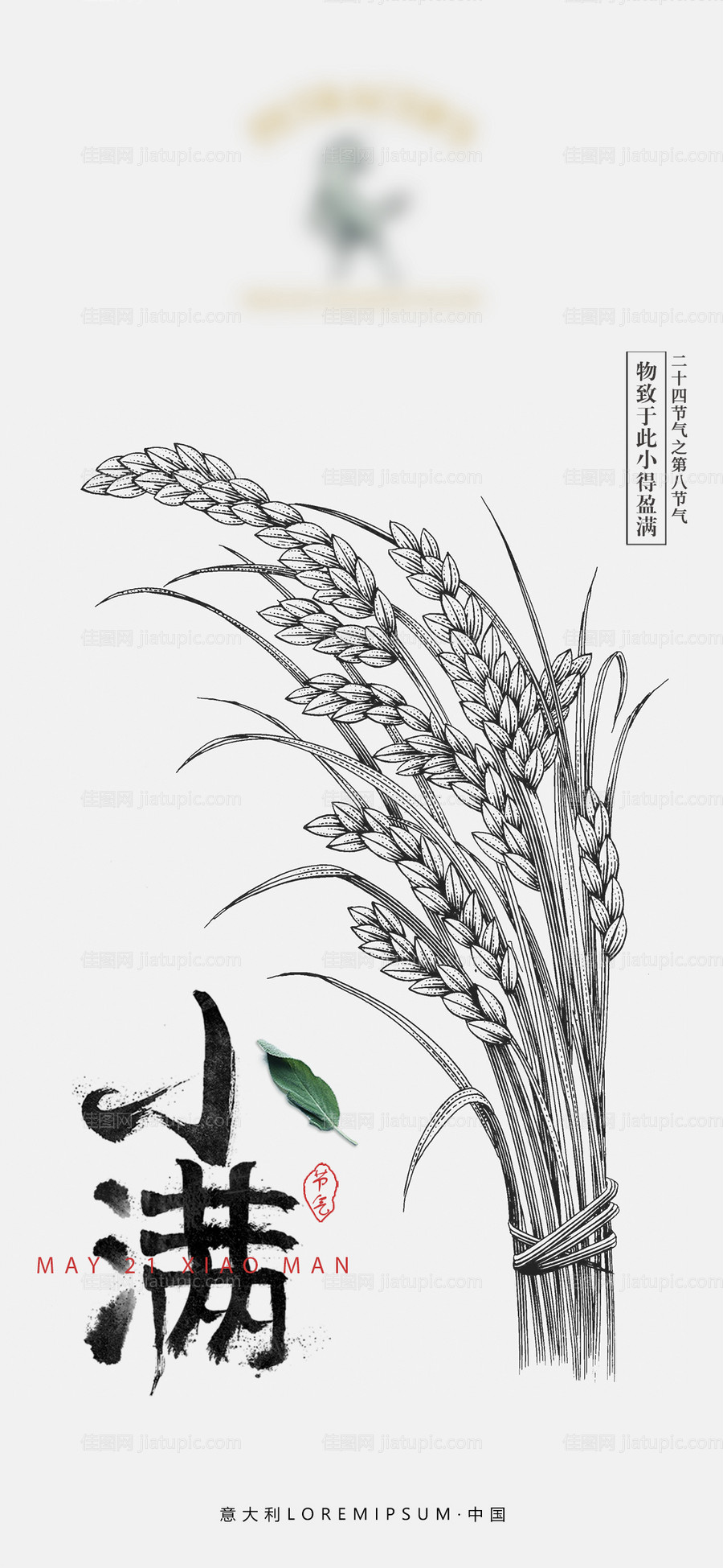 小满节气海报-源文件