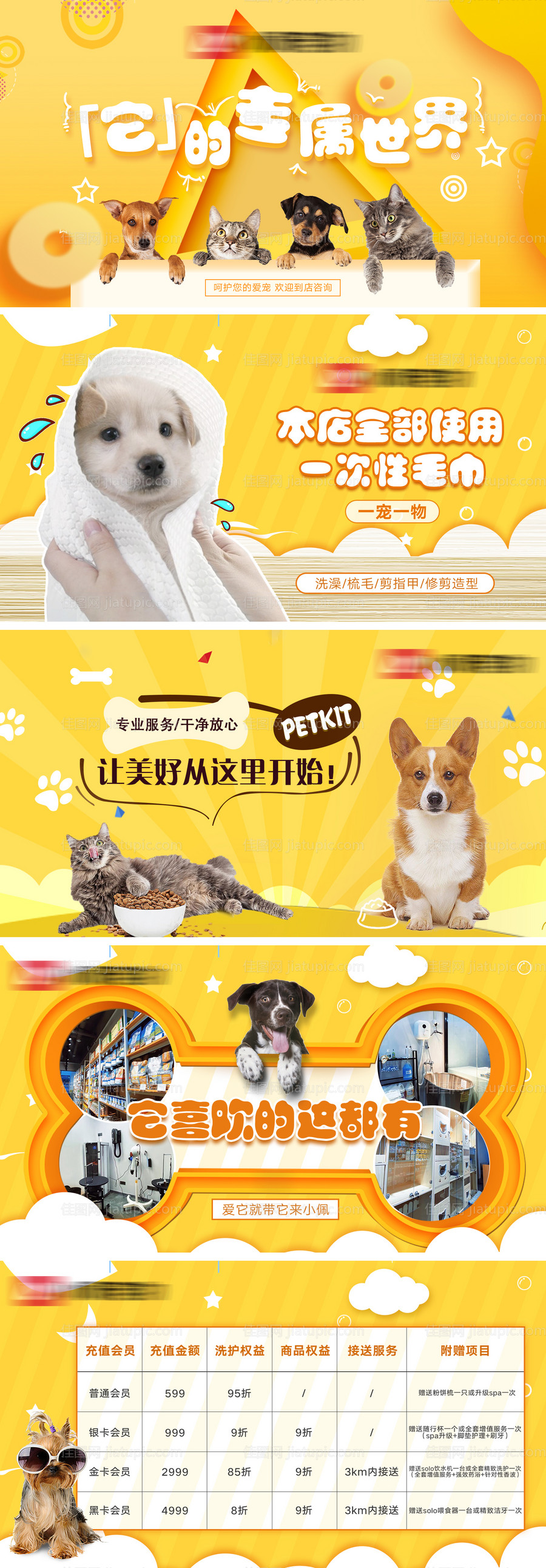 宠物店铺轮播图-源文件