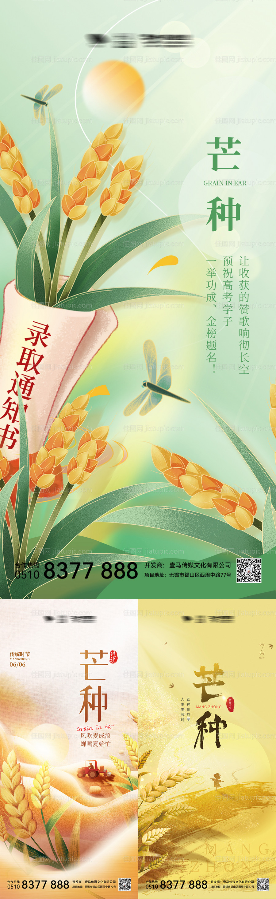 芒种节气-源文件