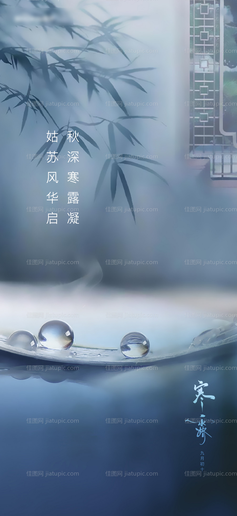寒露-源文件