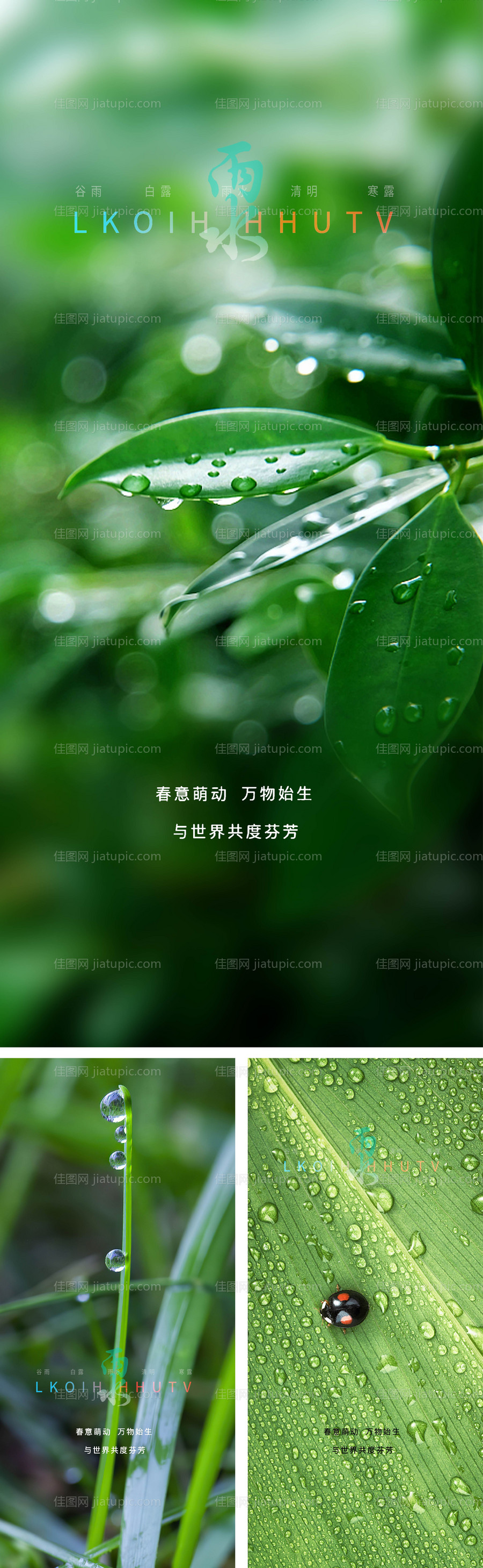 雨水节气系列海报-源文件