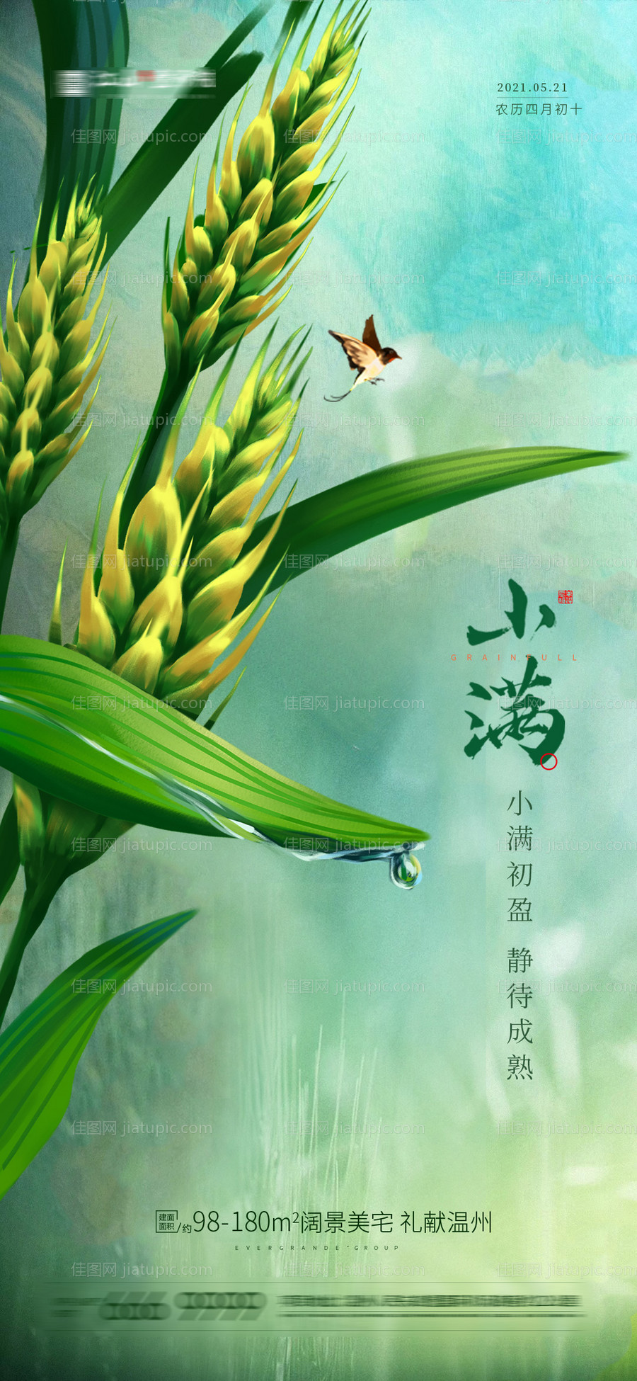小满节气海报-源文件