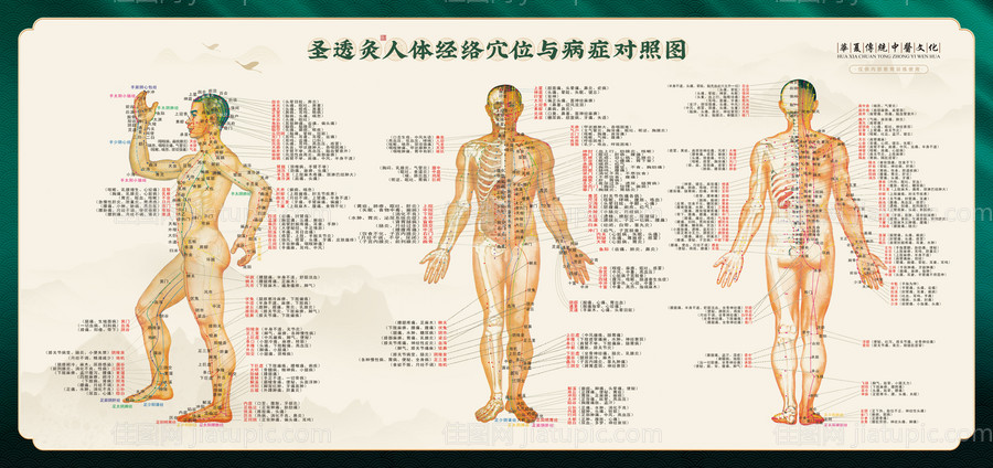 中医经络穴位艾灸图-源文件