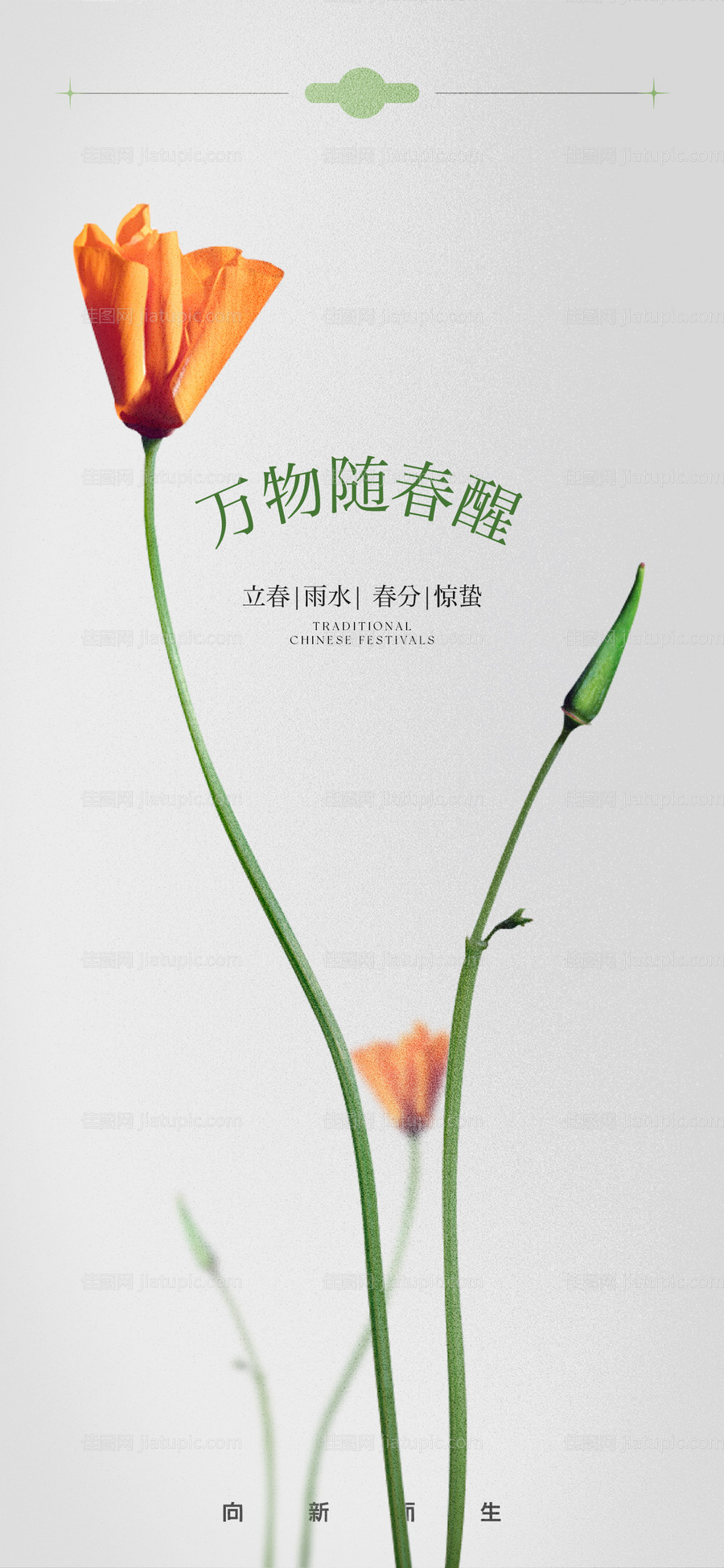 二十四节气单图-源文件