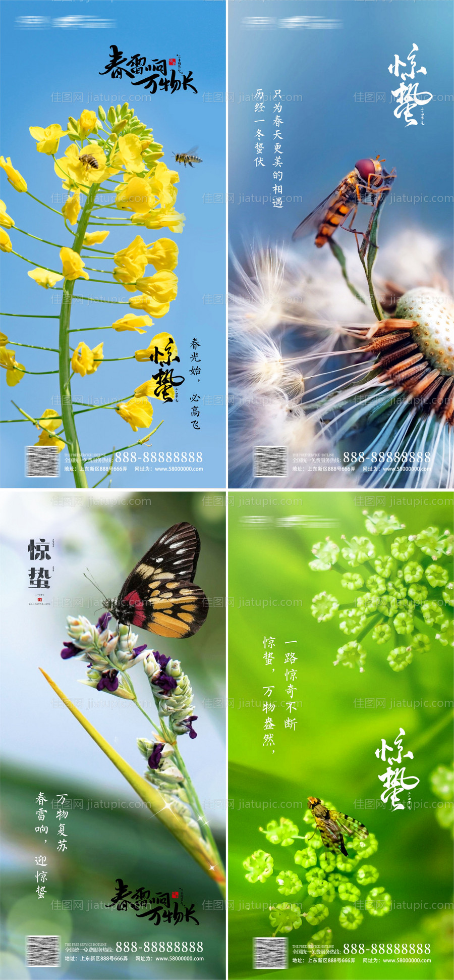 惊蛰节气海报-源文件