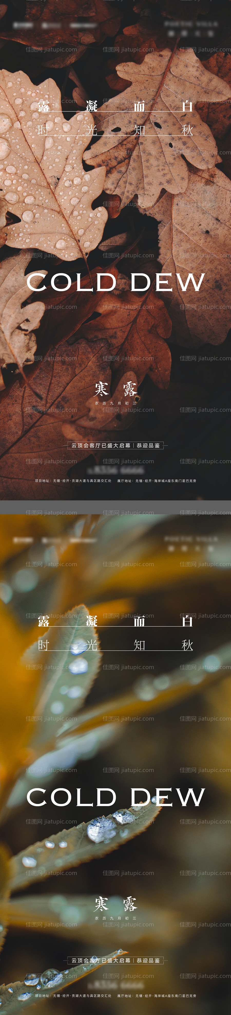 寒露-源文件