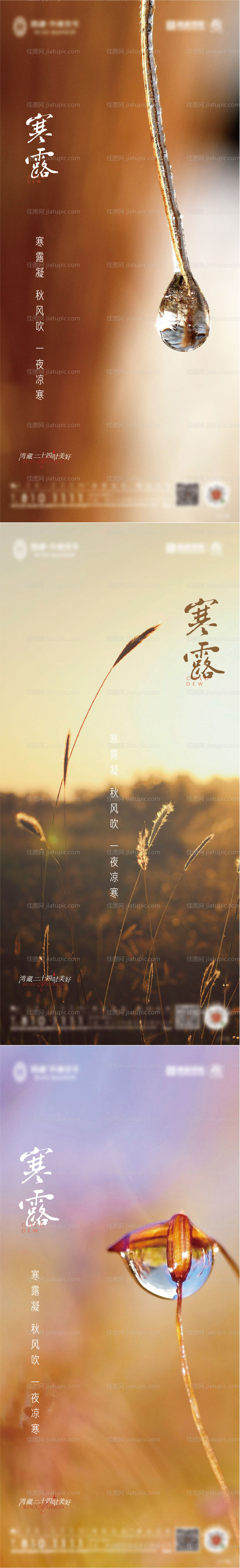 寒露霜降节气意境系列海报-源文件