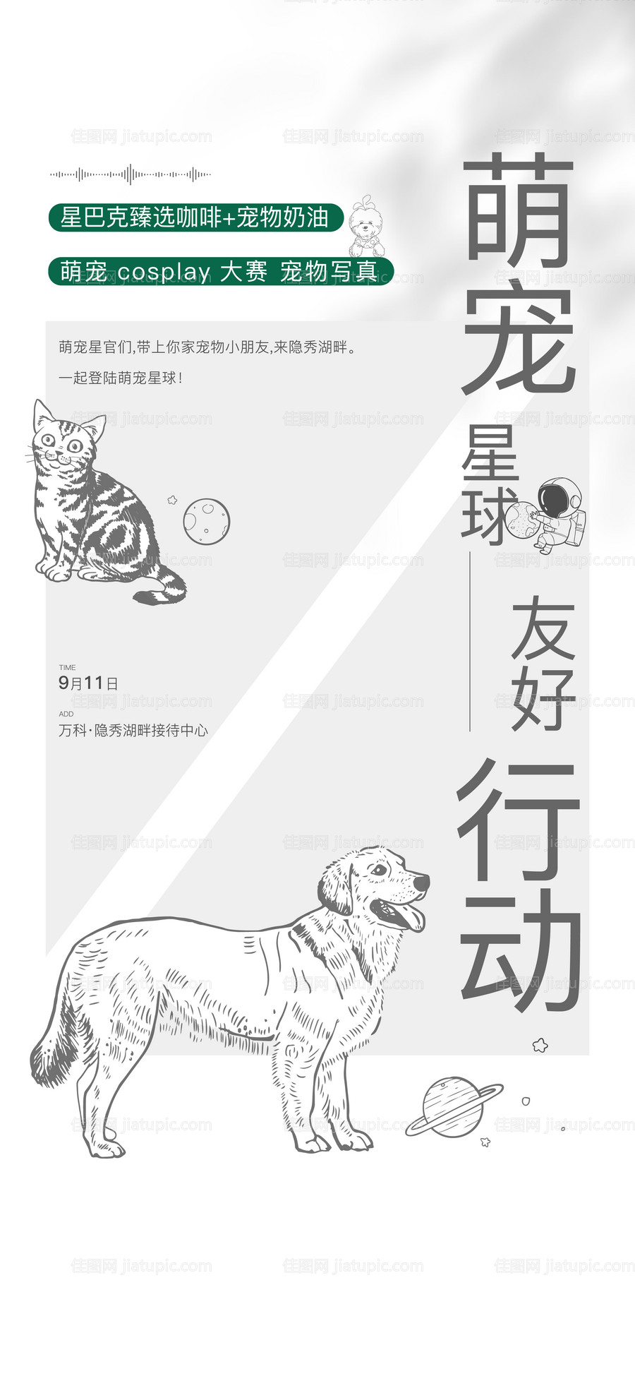 活动-源文件