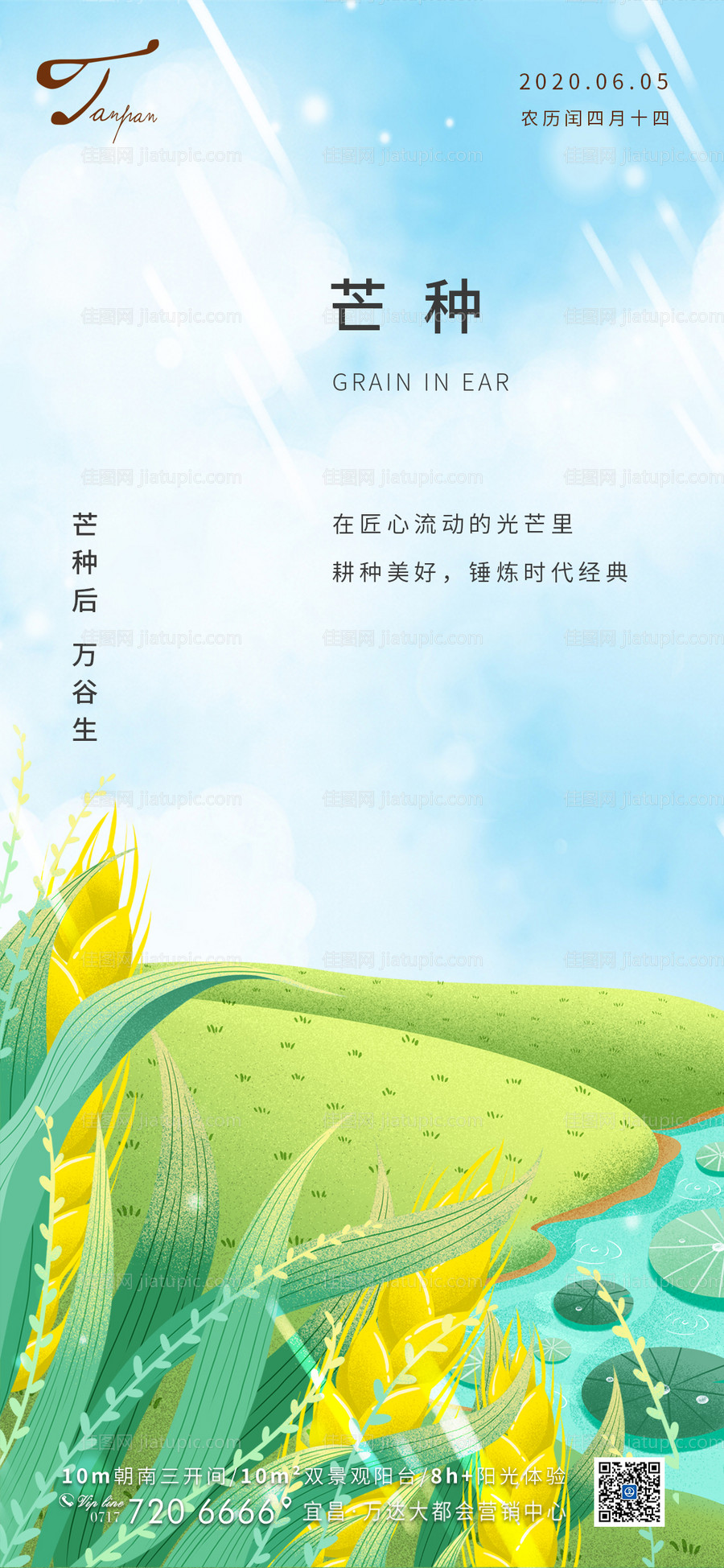芒种节气移动端海报-源文件