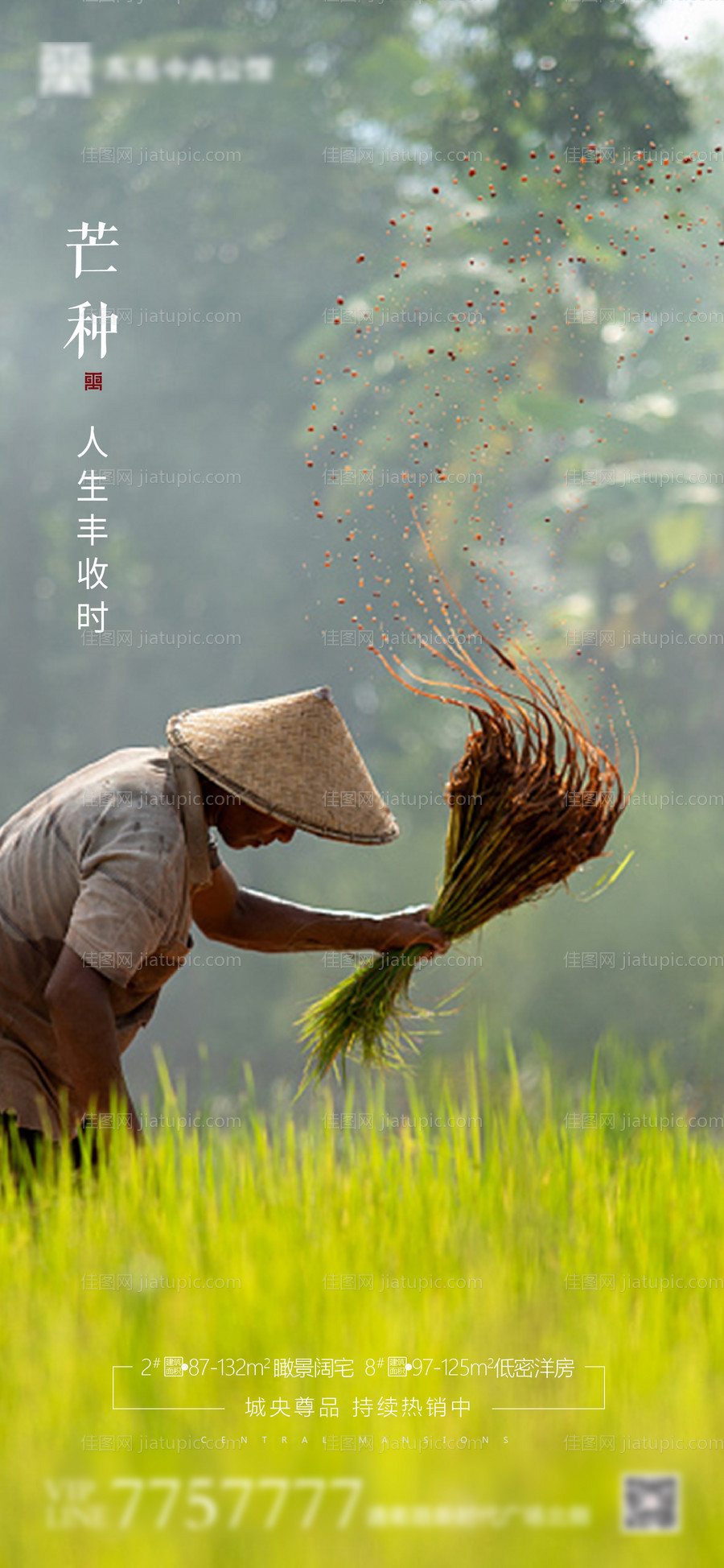 房地产芒种节气海报-源文件