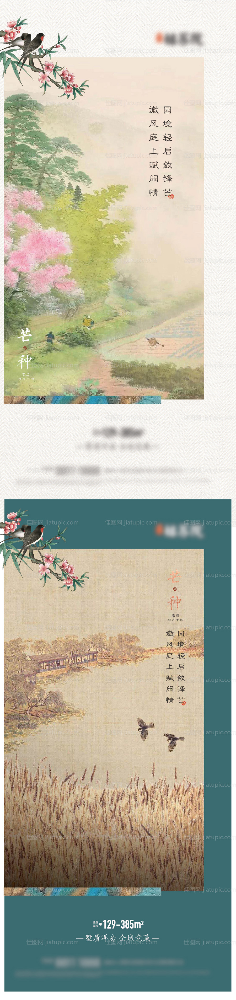 芒种节气海报-源文件