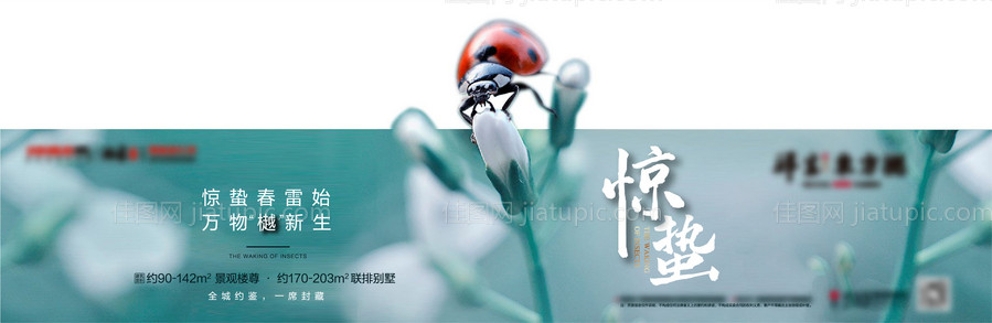 地产惊蛰海报-源文件