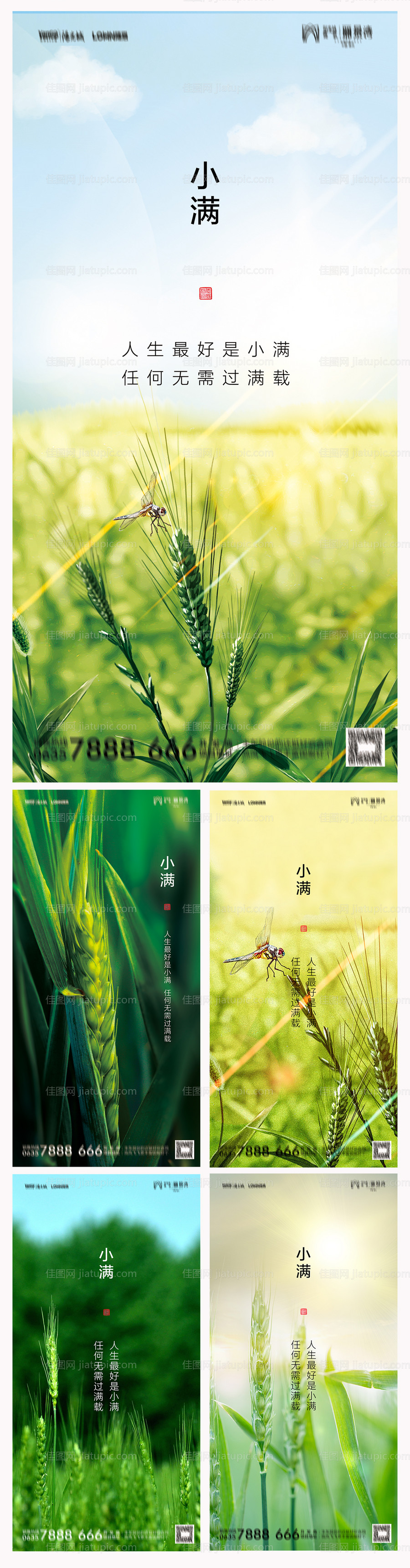 地产小满海报-源文件