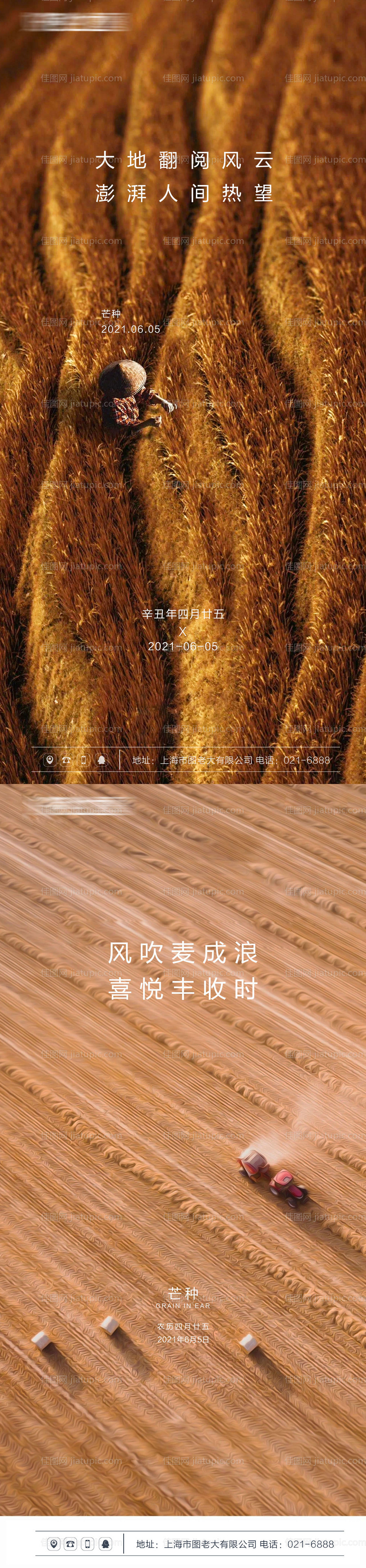 芒种节气系列海报-源文件
