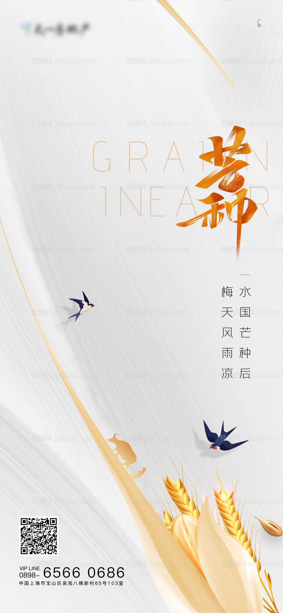 芒种海报-源文件