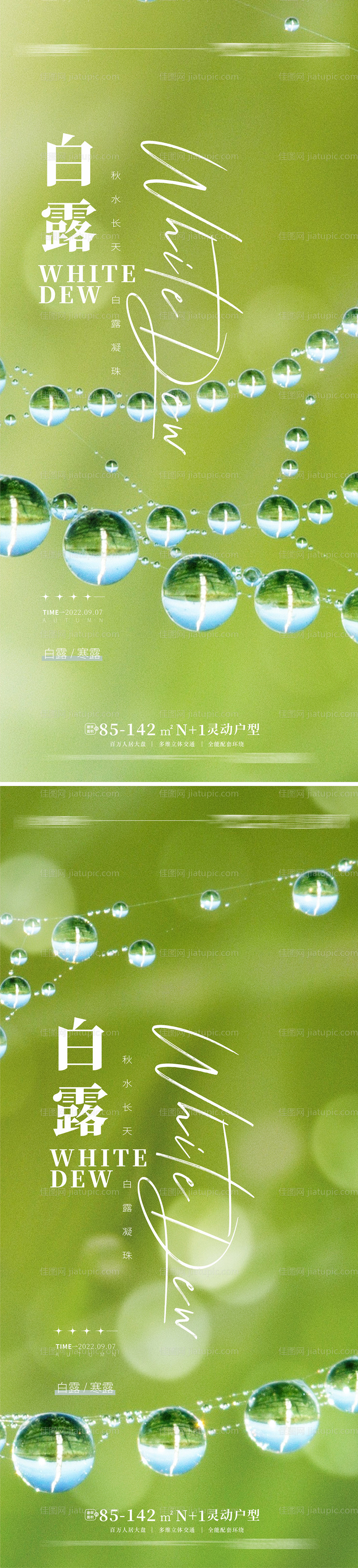 白露寒露海报-源文件