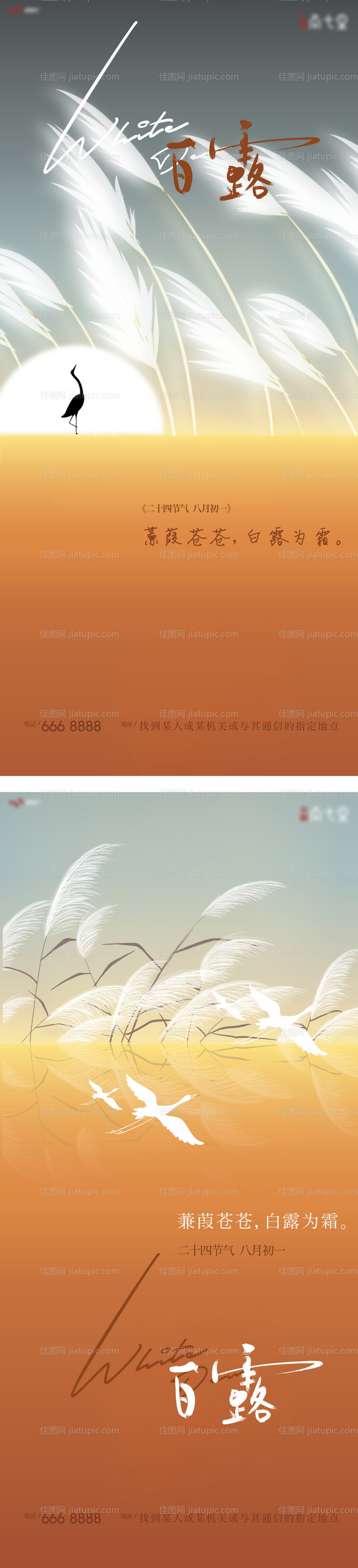 白露芦苇系列海报-源文件