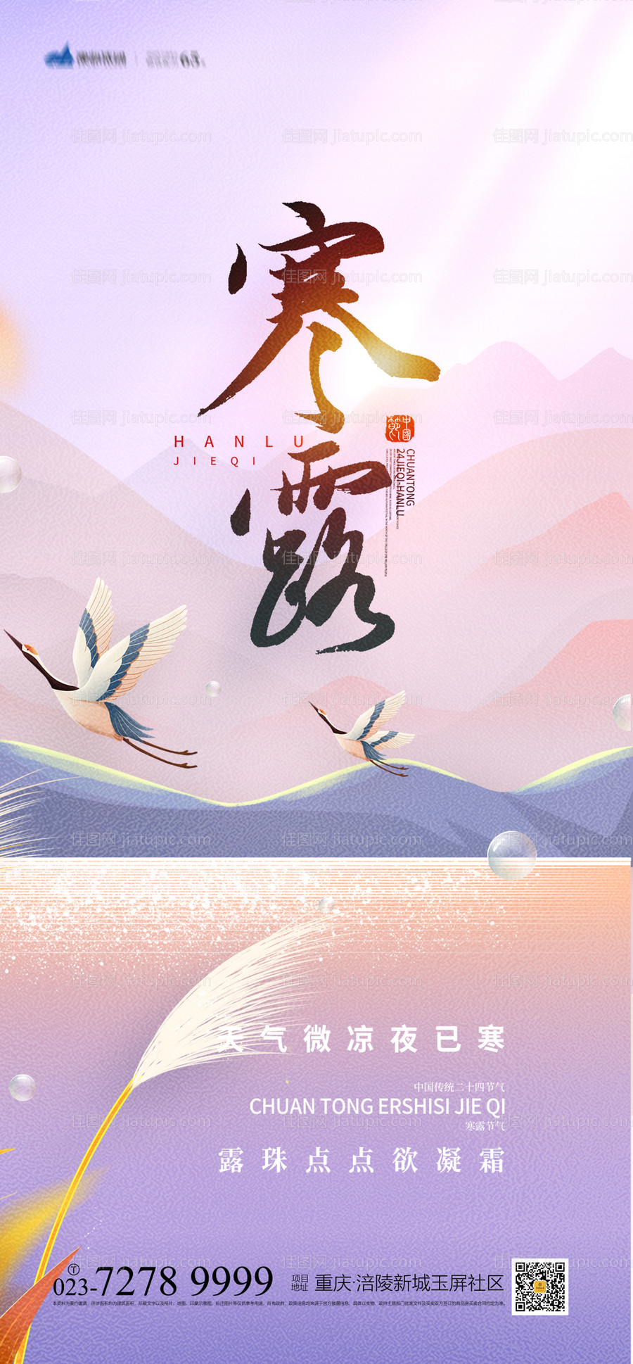 寒露节气海报-源文件