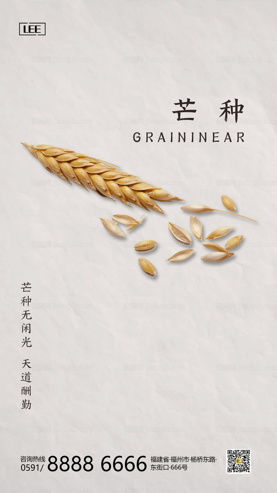 芒种节气移动端海报-源文件