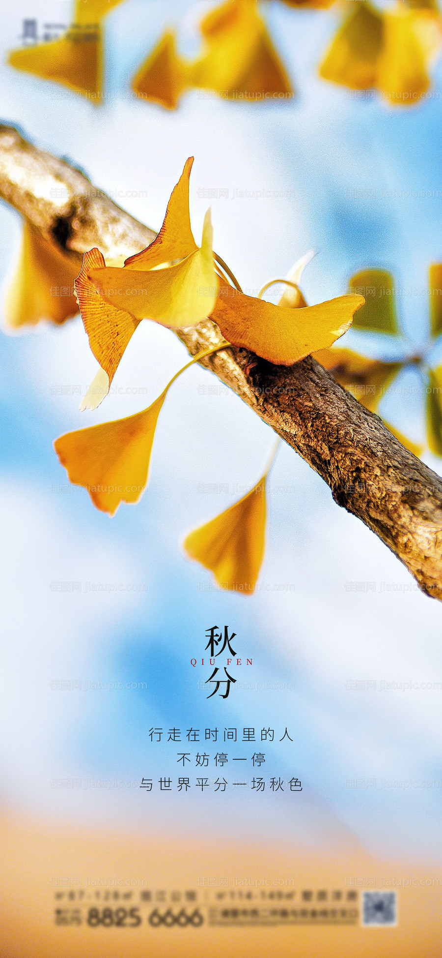 秋分节气海报-源文件