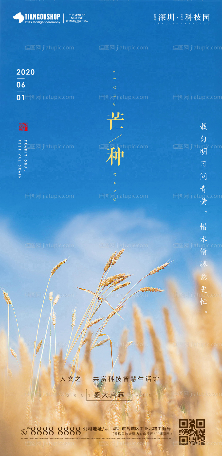 地产芒种节气海报-源文件