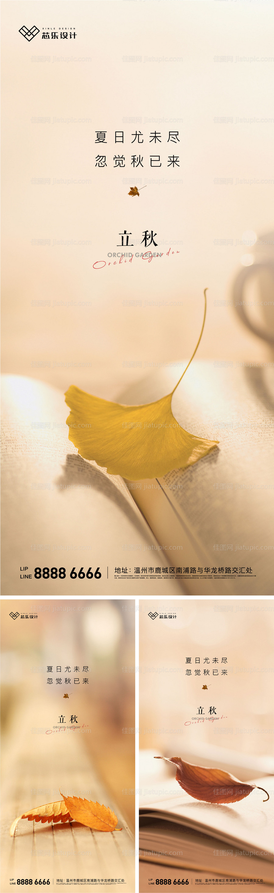 立秋节气系列海报-源文件