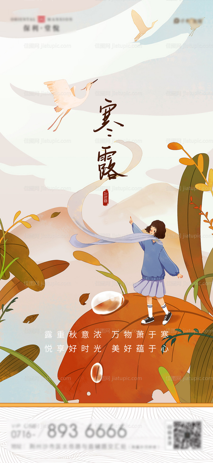 寒露节气海报-源文件