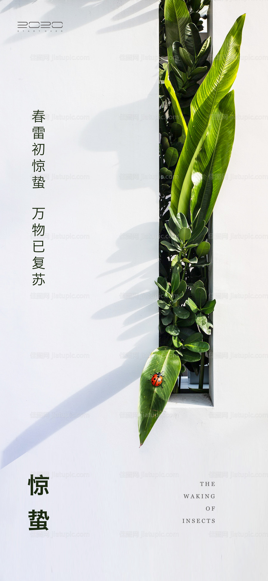 惊蛰节气海报-源文件