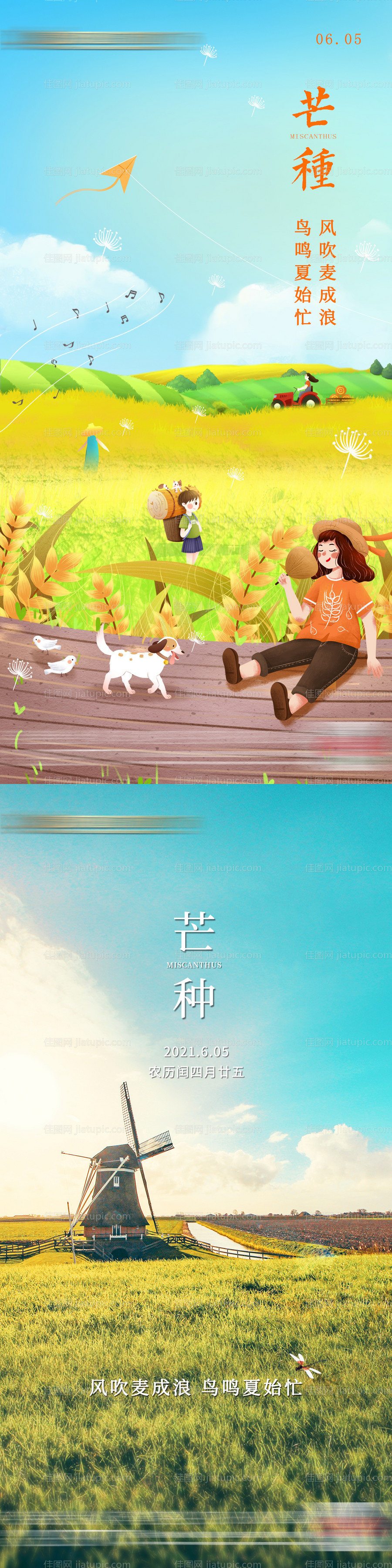 芒种节气移动端海报-源文件