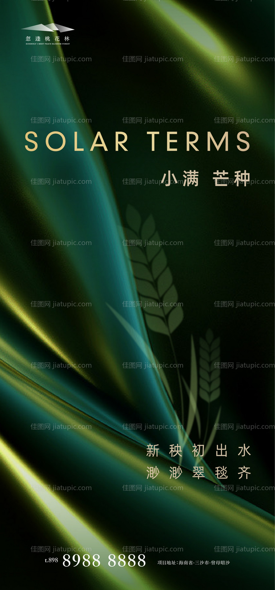小满芒种节气海报-源文件