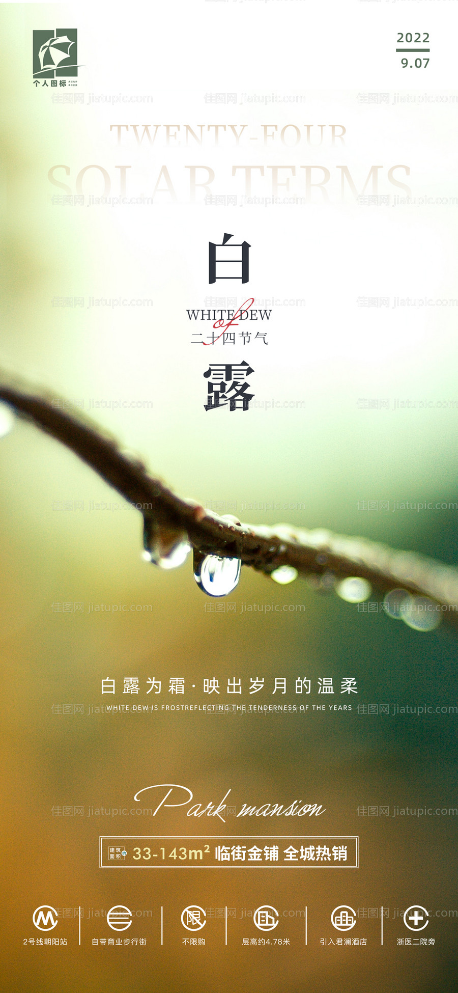 白露节气海报-源文件
