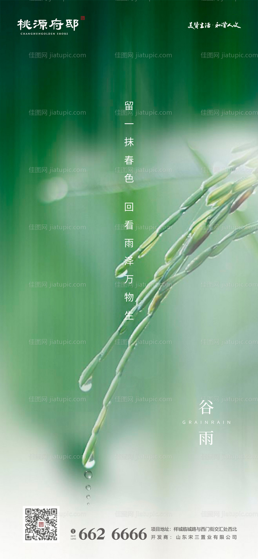 谷雨节气海报-源文件