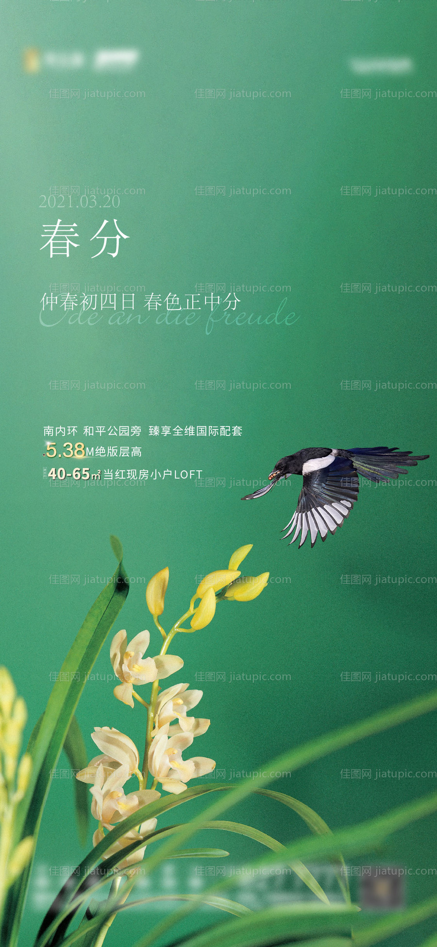 春分节气地产微信海报-源文件