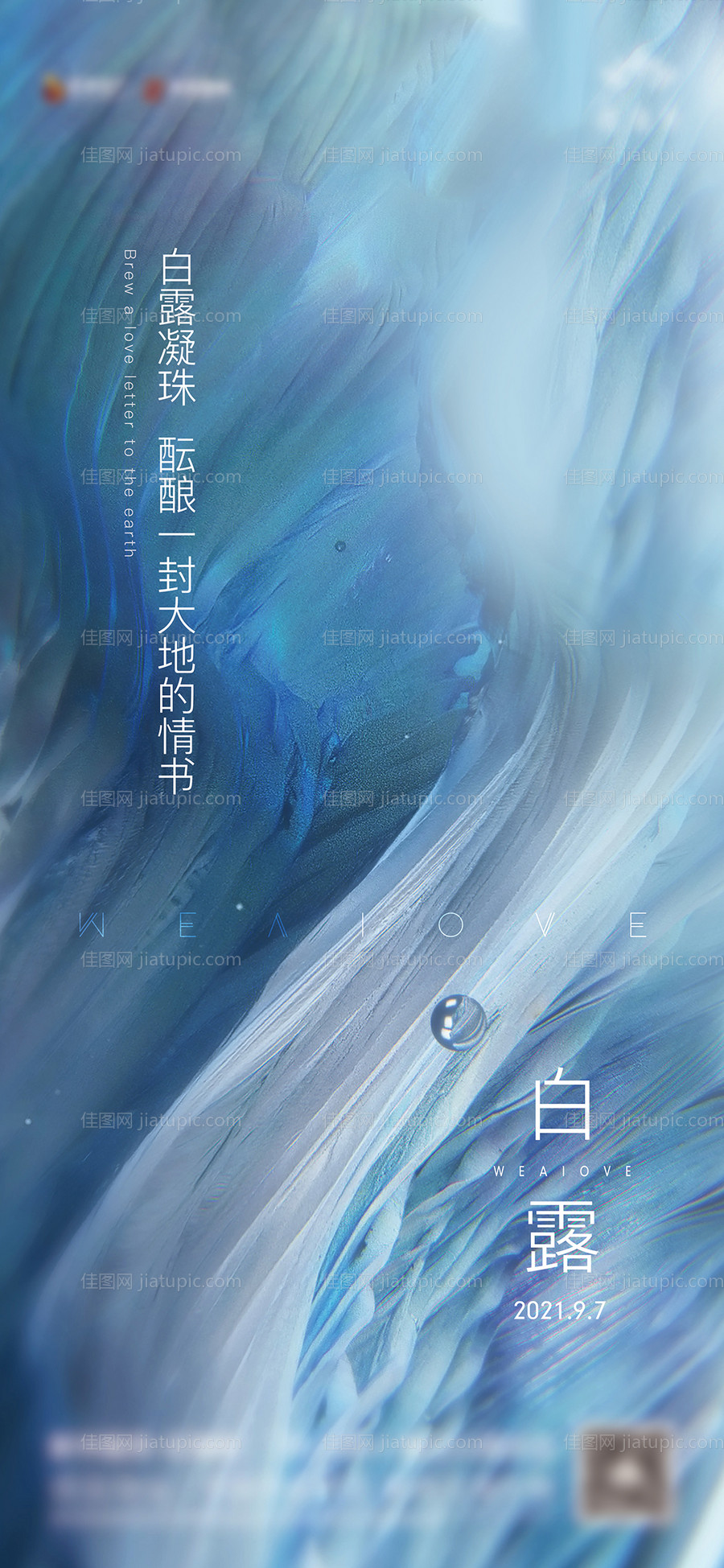 白露节气移动端海报-源文件