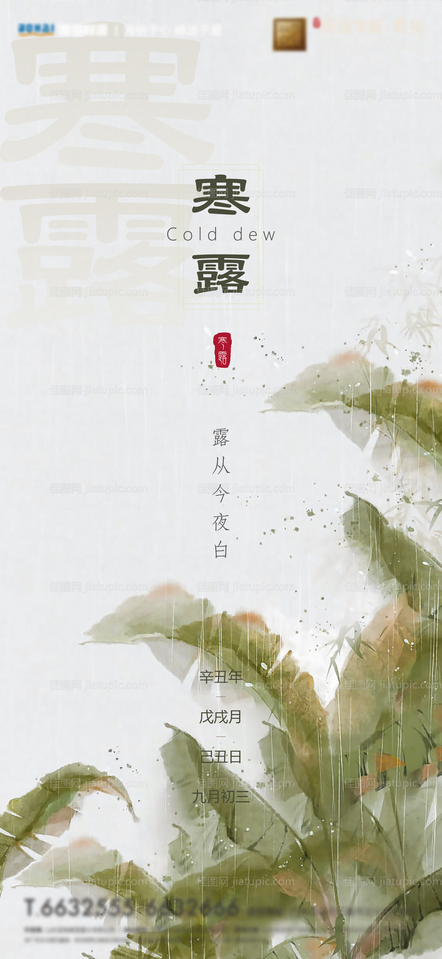 寒露节气-源文件