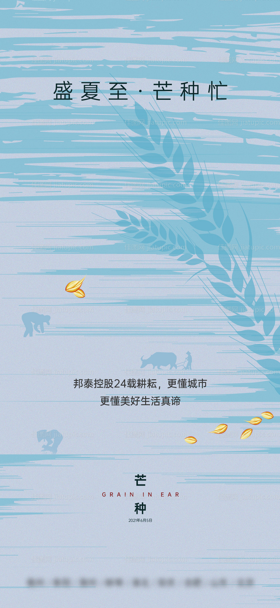 芒种节气海报-源文件