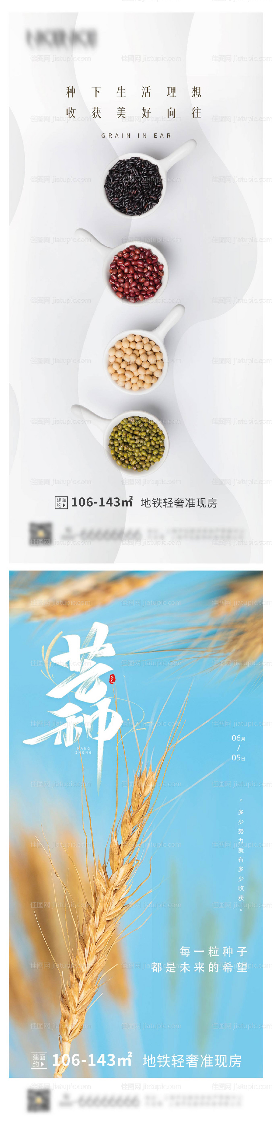 地产芒种节气系列海报-源文件