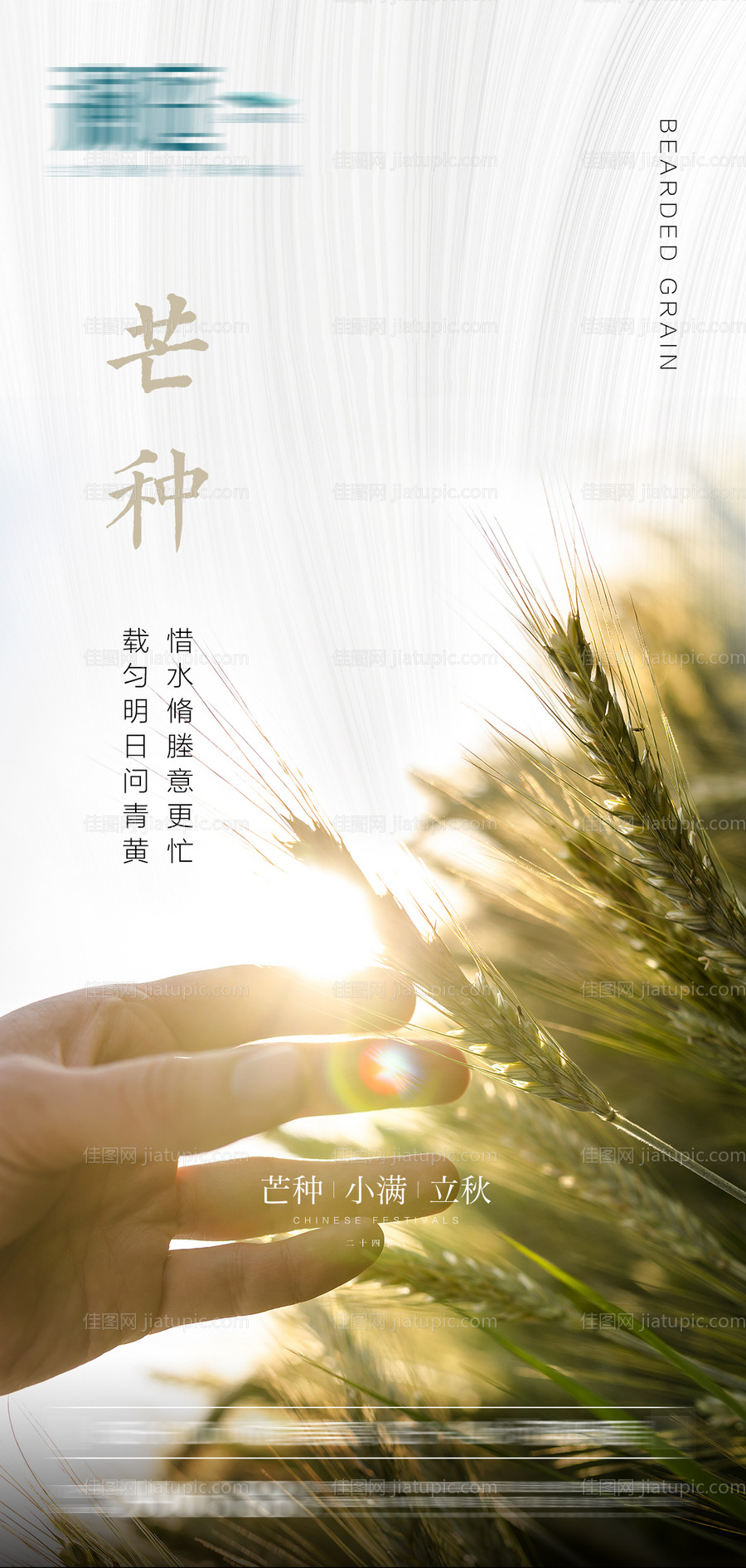 芒种节气海报-源文件