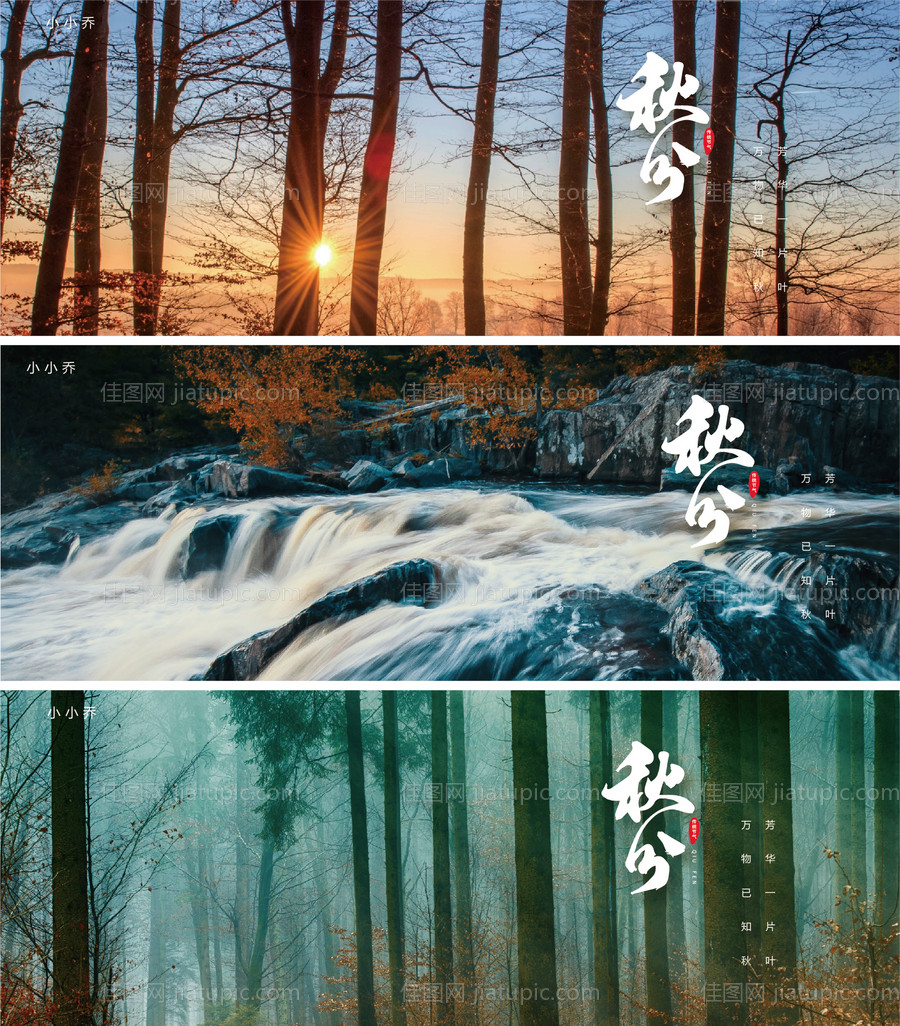 秋分节气海报-源文件
