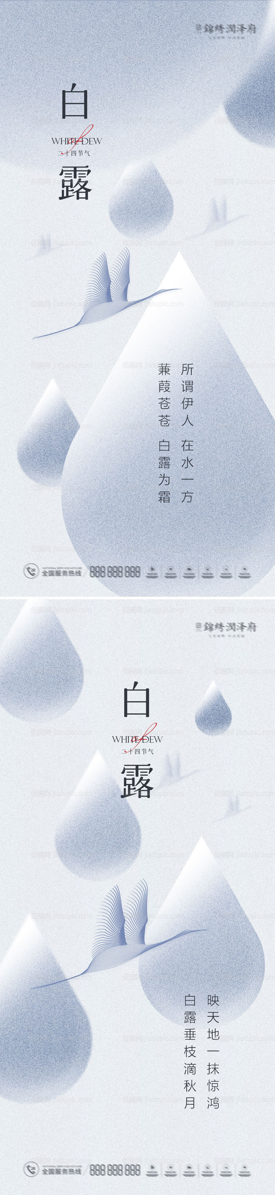 白露节气系列海报-源文件