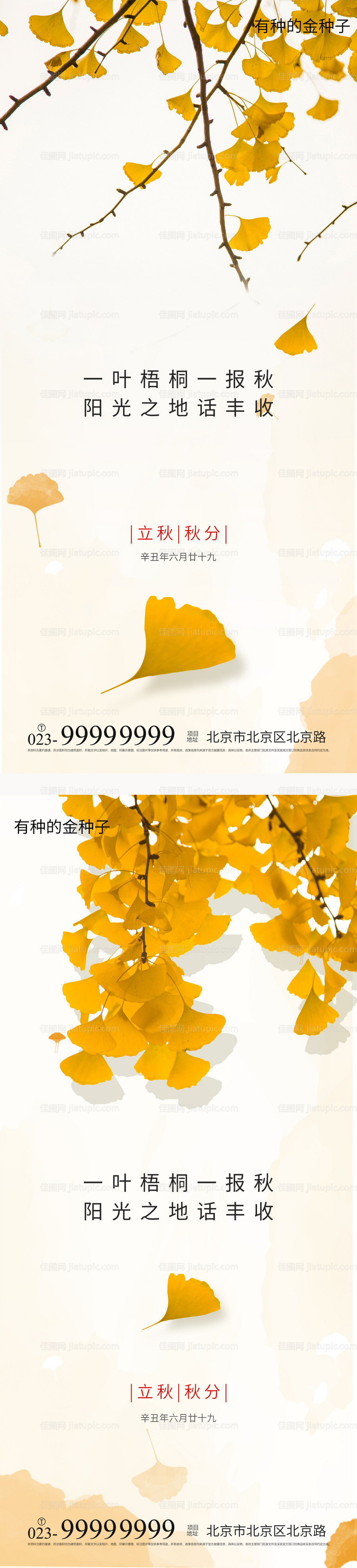 秋分节气海报-源文件
