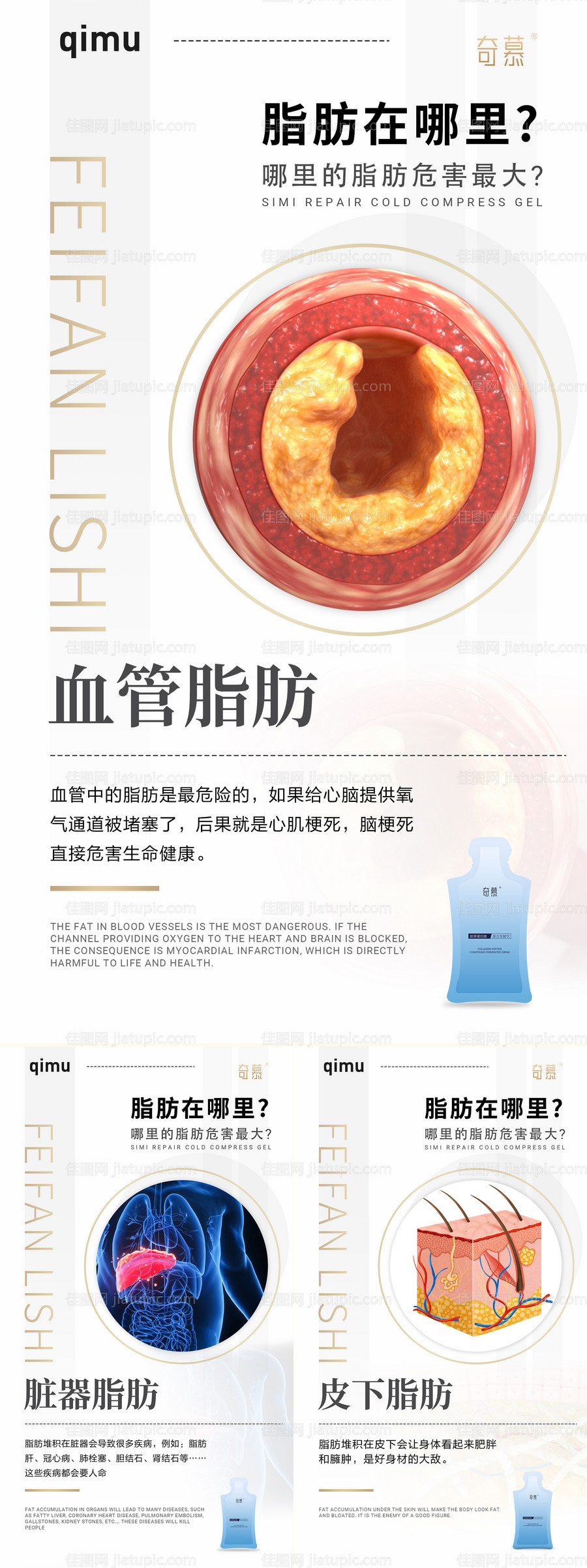 知识篇-源文件