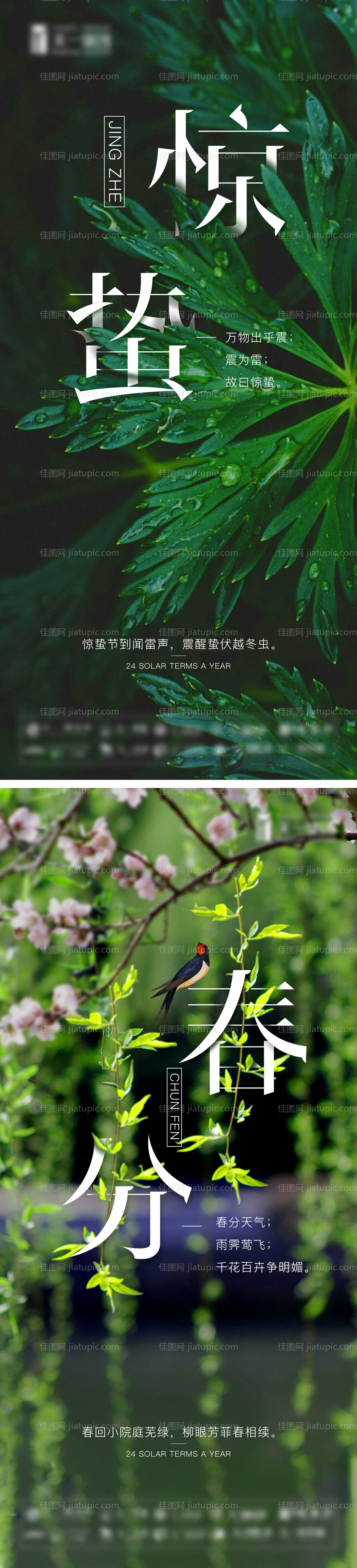 春分惊蛰节气海报-源文件