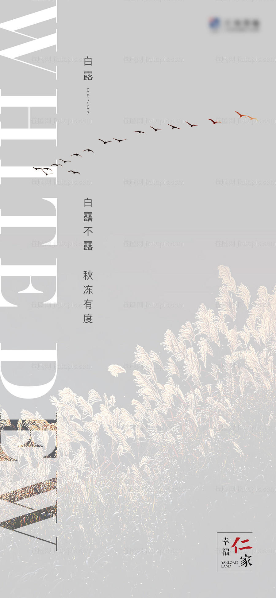 白露-源文件