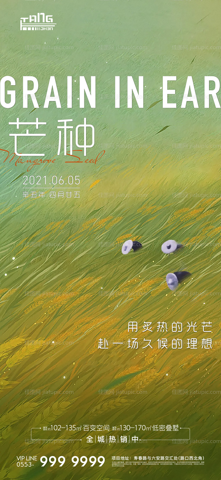 芒种-源文件