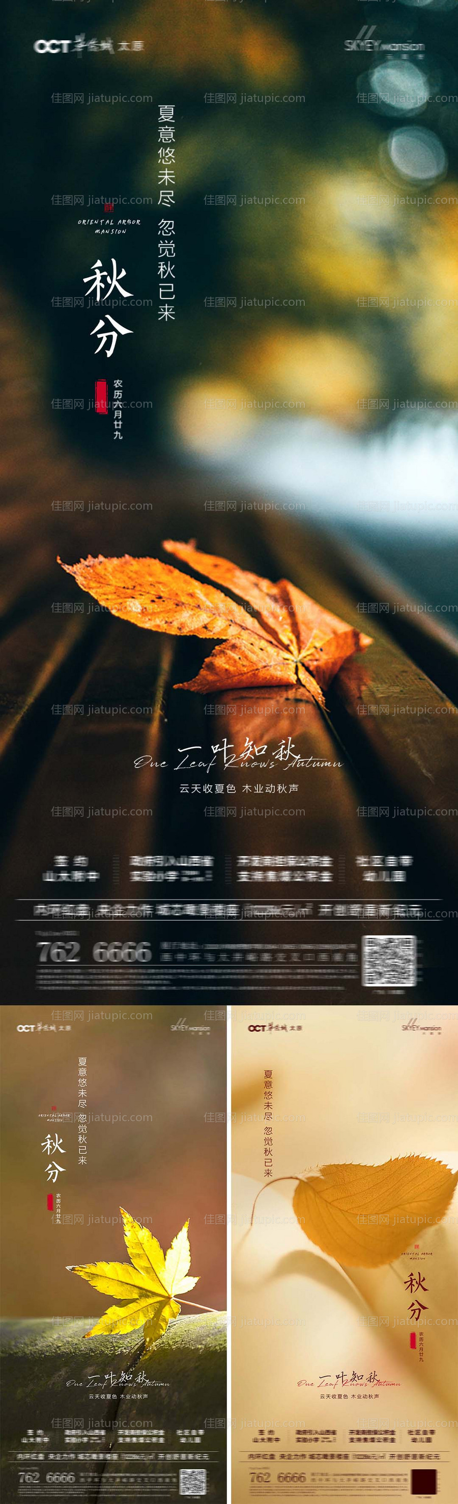 秋分节气海报-源文件