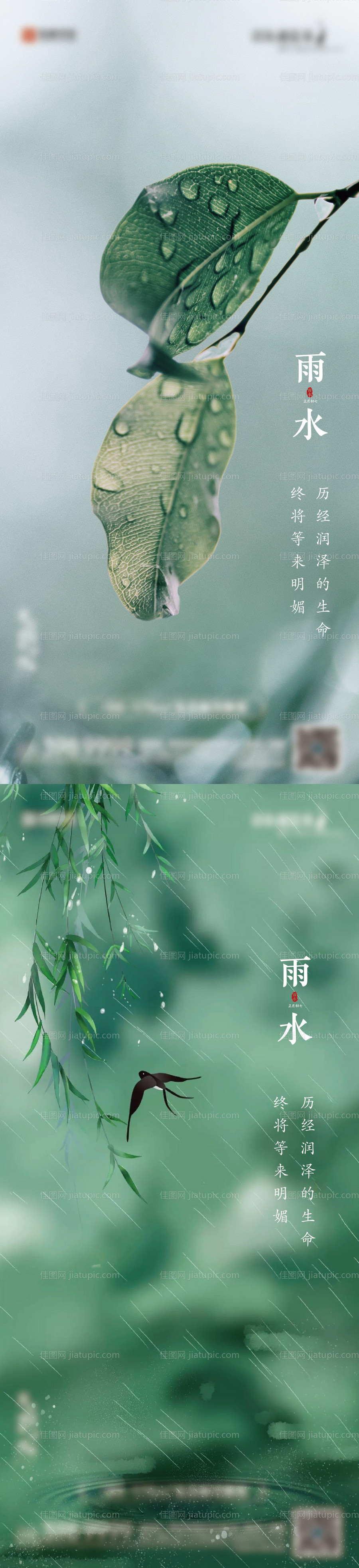 雨水节气海报-源文件