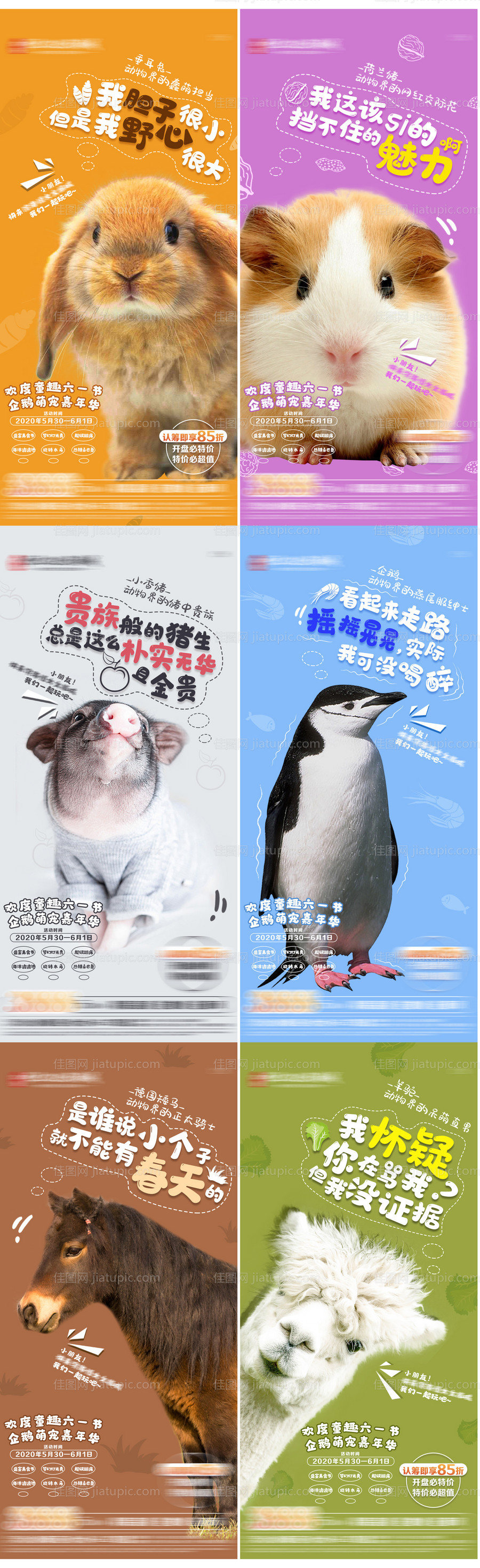 萌宠动物系列海报-源文件