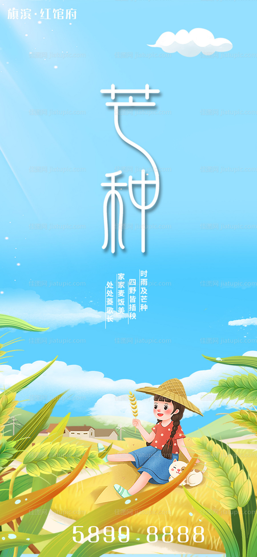 芒种节气海报-源文件